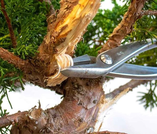 Bonsai Pliers