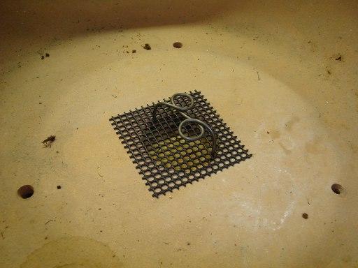 Clogging Pot Drainage Holes 6