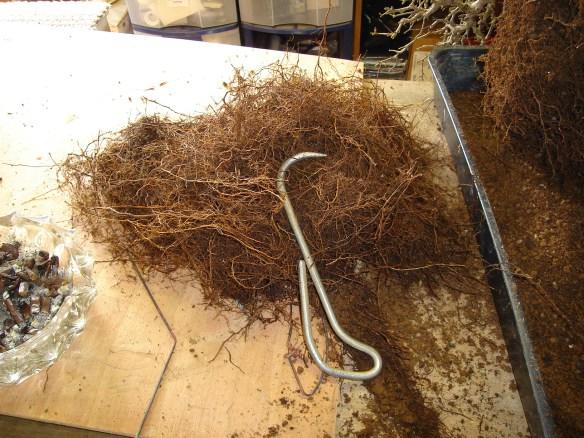 Cut Roots