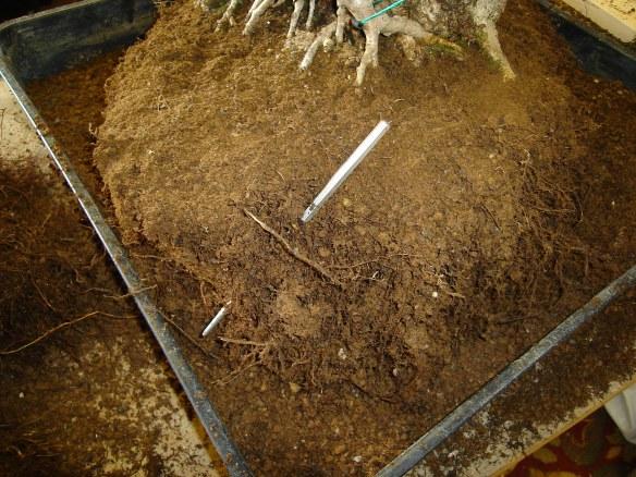 Eroding soil