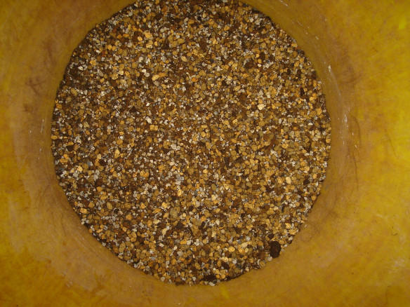 Good Soil for Japanese White Pine