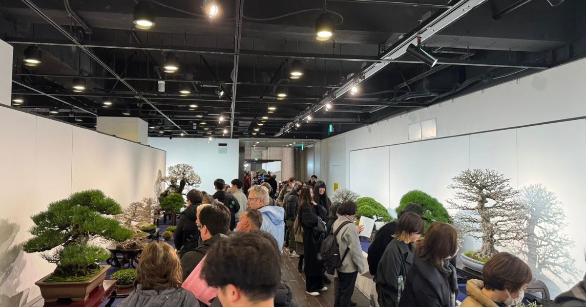 Kokufu-ten 100th Anniversary Bonsai Exhibition