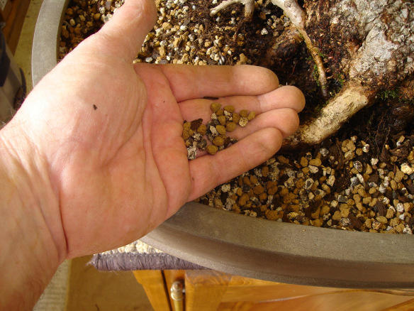 Mix Soil