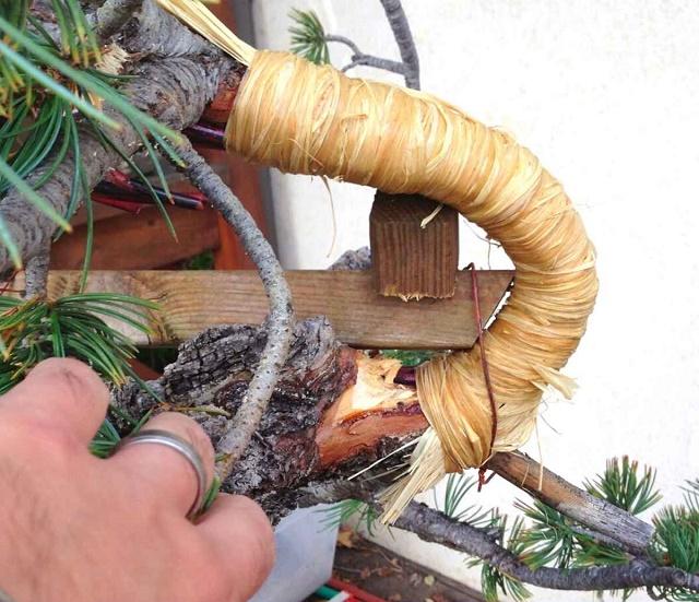 Raffia