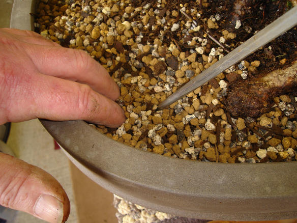 Tidy up the mixed soil