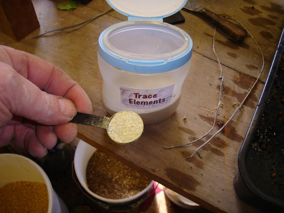 Trace Elements